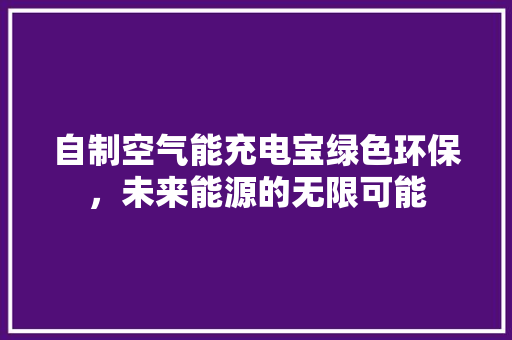 自制空气能充电宝绿色环保，未来能源的无限可能