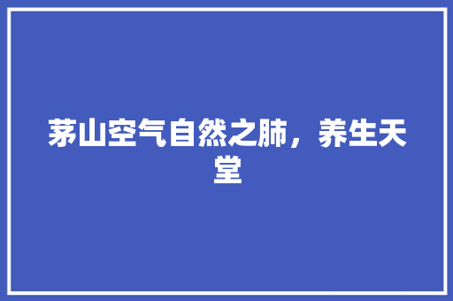 茅山空气自然之肺，养生天堂 家电维修