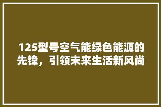 125型号空气能绿色能源的先锋，引领未来生活新风尚 综合便民