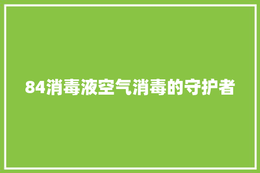 84消毒液空气消毒的守护者 汽车维修