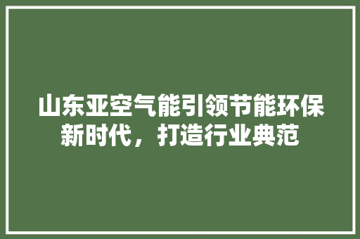 山东亚空气能引领节能环保新时代，打造行业典范 厨房维修