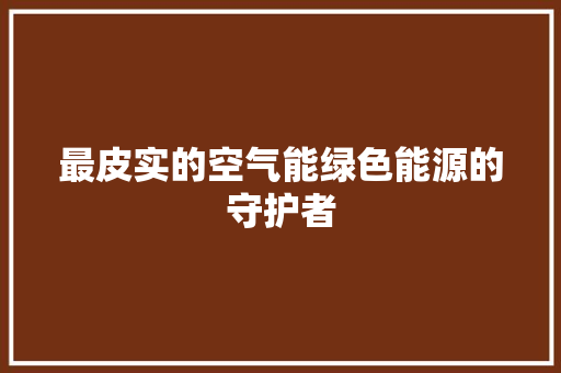 最皮实的空气能绿色能源的守护者 家电维修