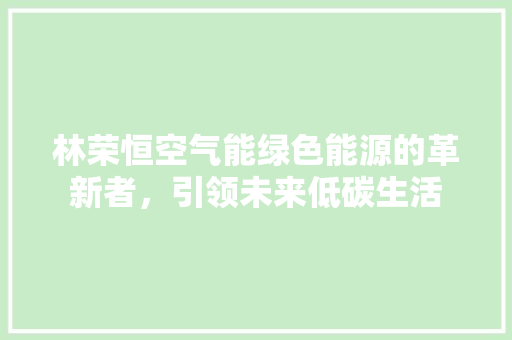 林荣恒空气能绿色能源的革新者，引领未来低碳生活