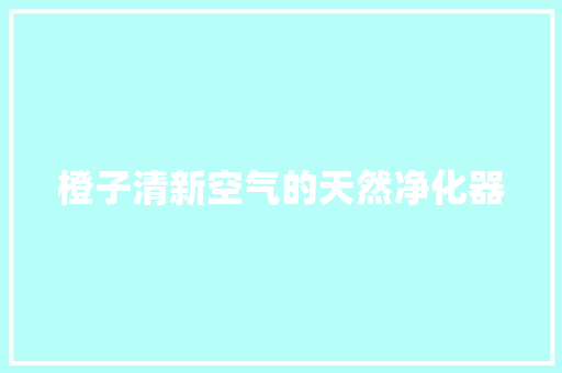 橙子清新空气的天然净化器 墙体维修