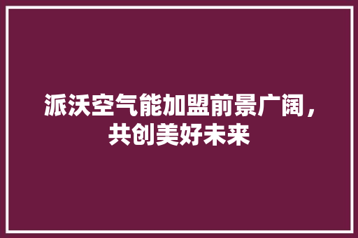 派沃空气能加盟前景广阔，共创美好未来 墙体维修