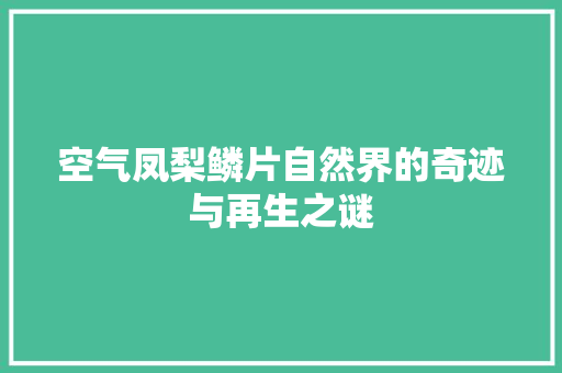 空气凤梨鳞片自然界的奇迹与再生之谜 厨房维修