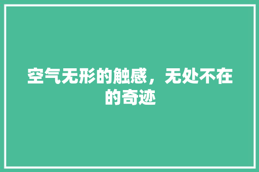 空气无形的触感，无处不在的奇迹