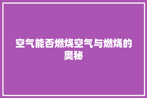 空气能否燃烧空气与燃烧的奥秘 厨房维修
