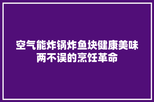 空气能炸锅炸鱼块健康美味两不误的烹饪革命 综合便民