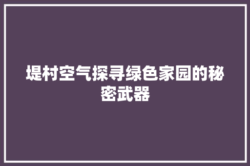 堤村空气探寻绿色家园的秘密武器 厨房维修