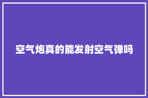 空气炮真的能发射空气弹吗