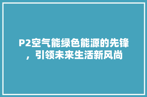 P2空气能绿色能源的先锋，引领未来生活新风尚 家电维修