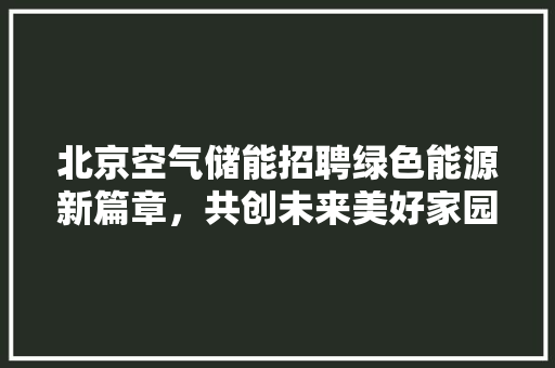 北京空气储能招聘绿色能源新篇章，共创未来美好家园