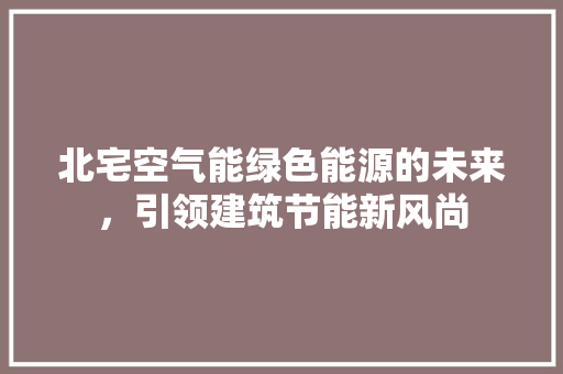 北宅空气能绿色能源的未来，引领建筑节能新风尚 厨房维修