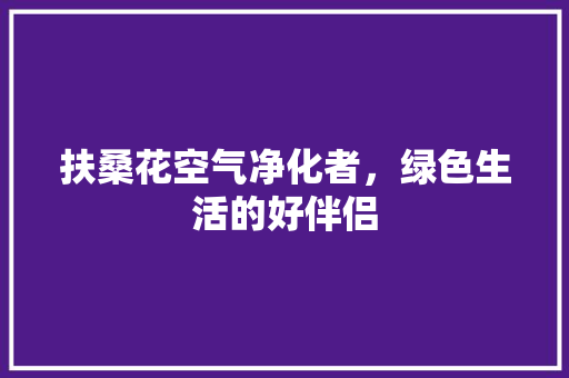 扶桑花空气净化者，绿色生活的好伴侣 汽车维修