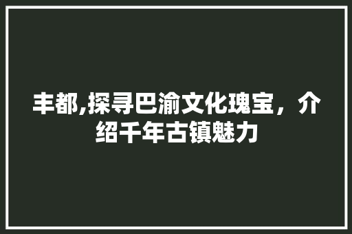 丰都,探寻巴渝文化瑰宝，介绍千年古镇魅力 厨房维修