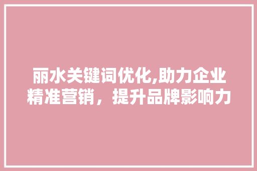 丽水关键词优化,助力企业精准营销，提升品牌影响力 家电维修