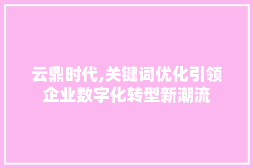 云鼎时代,关键词优化引领企业数字化转型新潮流