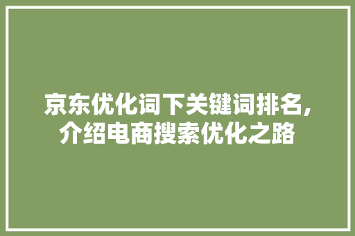 京东优化词下关键词排名,介绍电商搜索优化之路
