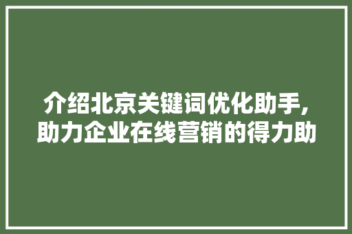 介绍北京关键词优化助手,助力企业在线营销的得力助手 综合便民
