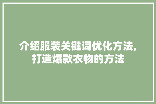 介绍服装关键词优化方法,打造爆款衣物的方法