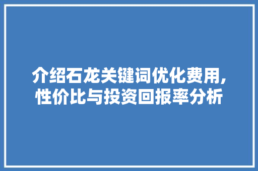 介绍石龙关键词优化费用,性价比与投资回报率分析