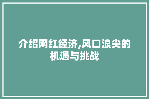 介绍网红经济,风口浪尖的机遇与挑战