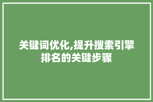 关键词优化,提升搜索引擎排名的关键步骤