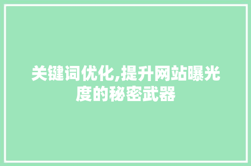 关键词优化,提升网站曝光度的秘密武器 厨房维修