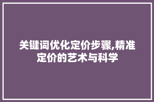 关键词优化定价步骤,精准定价的艺术与科学
