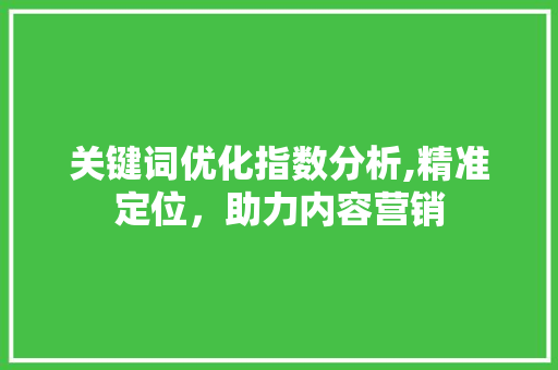 关键词优化指数分析,精准定位，助力内容营销