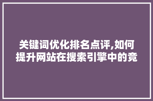 关键词优化排名点评,如何提升网站在搜索引擎中的竞争力