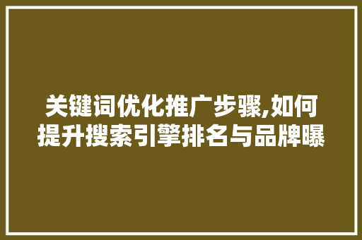 关键词优化推广步骤,如何提升搜索引擎排名与品牌曝光