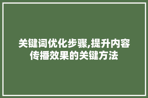 关键词优化步骤,提升内容传播效果的关键方法