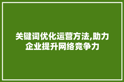 关键词优化运营方法,助力企业提升网络竞争力