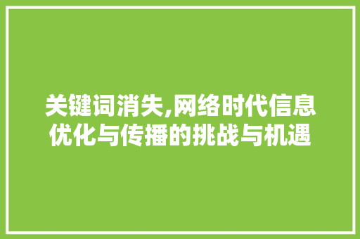 关键词消失,网络时代信息优化与传播的挑战与机遇 家电维修