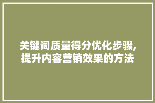 关键词质量得分优化步骤,提升内容营销效果的方法