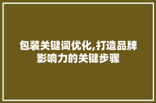包装关键词优化,打造品牌影响力的关键步骤