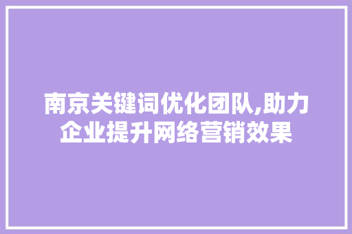 南京关键词优化团队,助力企业提升网络营销效果