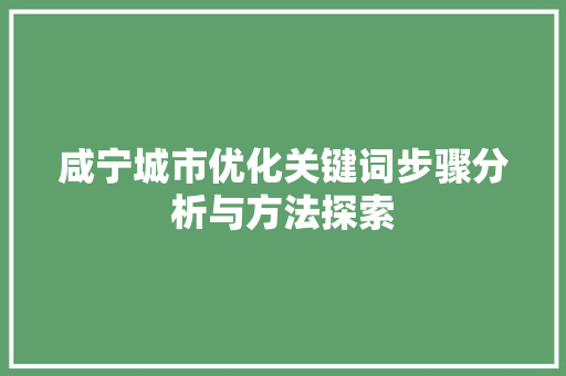 咸宁城市优化关键词步骤分析与方法探索