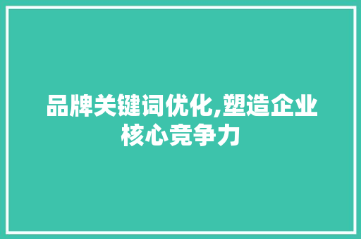 品牌关键词优化,塑造企业核心竞争力