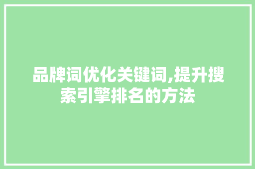 品牌词优化关键词,提升搜索引擎排名的方法 墙体维修