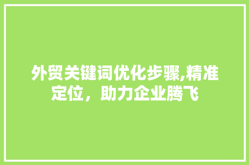 外贸关键词优化步骤,精准定位，助力企业腾飞