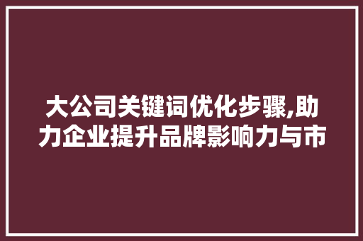 大公司关键词优化步骤,助力企业提升品牌影响力与市场竞争力