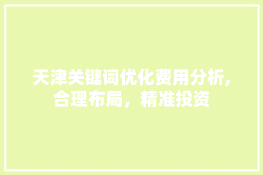 天津关键词优化费用分析,合理布局，精准投资
