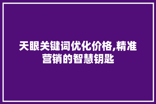 天眼关键词优化价格,精准营销的智慧钥匙
