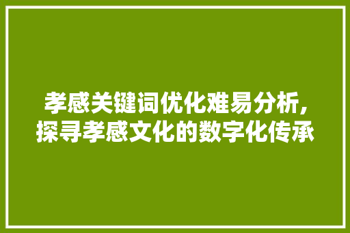 孝感关键词优化难易分析,探寻孝感文化的数字化传承之路 厨房维修