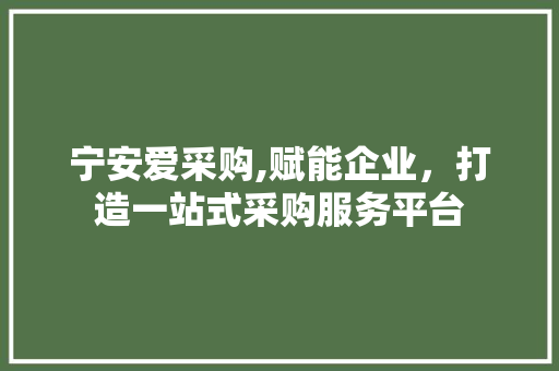 宁安爱采购,赋能企业，打造一站式采购服务平台 墙体维修