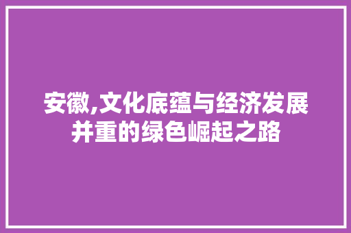 安徽,文化底蕴与经济发展并重的绿色崛起之路 综合便民