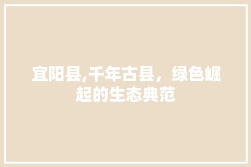 宜阳县,千年古县，绿色崛起的生态典范 综合便民